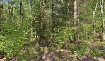 99 ACRE ROCK Ldg, Accident, MD 21520