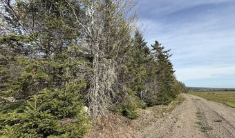 Lot 8 Airline Road, Alexander, ME 04694