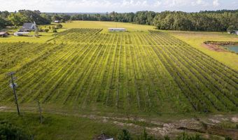 1054 Penny Morris Rd, Baxley, GA 31513