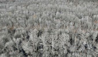 Putnam Road, Belzoni, MS 39038