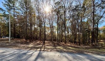 218 Pebble Cove Rd, Abbeville, AL 36310