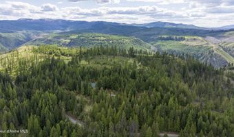 Nna Hugus Creek Road, Calder, ID 83808