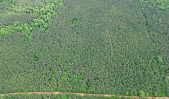 00 County Road 107, Ariton, AL 36311