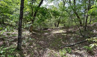 County Road 544, Bakersfield, MO 65609