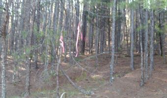 LAKE POINTE Dr, Arley, AL 35541