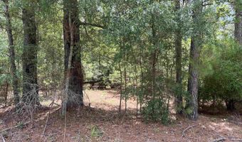 TBD Ervin Road Ervin Rd, Andrews, SC 29510