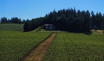 22000 SE Upper Matthews Creek Ln, Amity, OR 97101
