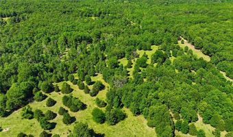 210 County Road 320, Alton, MO 65606