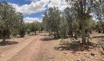 154 153 Gleed Sta, Ash Fork, AZ 86320