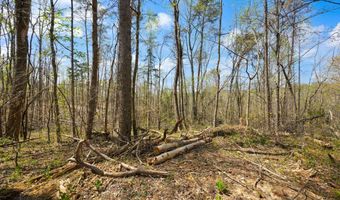 Martha Stockton Road, Albany, KY 42602