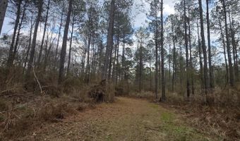 U.S. Highway 51, Bogue Chitto, MS 39629