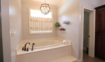 1450 County Road 704, Blue Mountain, MS 38610