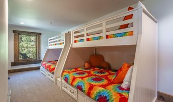1 Tall Pines Cove Ln, Glenbrook, NV 89413