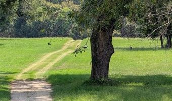 3 W Bluff Ln, Millsap, TX 76066