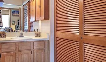 313 VINE St 313, Aspen, CO 81611