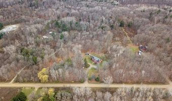 2222 Loree Rd, Applegate, MI 48401