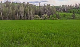 1656 Shadow Loop S, Ashton, ID 83420