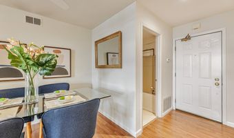 535 Pierce St 1307, Albany, CA 94706