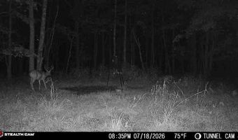 566 A Tunnel Ridge Rd, Argillite, KY 41121