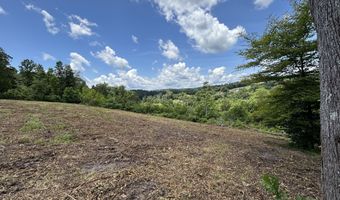 626 Sportsman Ln, Andersonville, TN 37705