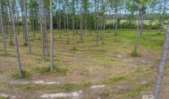 43944 County Road 112, Bay Minette, AL 36507