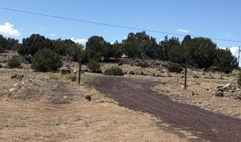 68 County Road 5126, Concho, AZ 85924