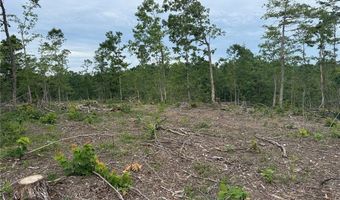 Tract 4 Hidden Valley, Annapolis, MO 63628