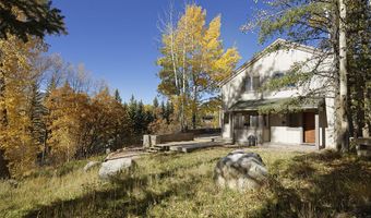 1036 Red Mountain Rd, Aspen, CO 81611