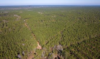 527 Forest Service Rd, Apple Springs, TX 75926