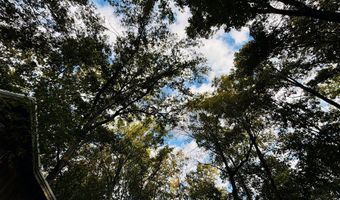 644 Ash-harrel Loop, Abbeville, GA 31001