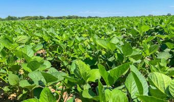 81 3+/- Acres SW Boyer Rd, Augusta, KS 67010