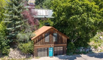 216 E Homestead Dr, Basalt, CO 81621