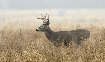 492 Stellar Jay Rd, Bonners Ferry, ID 83805