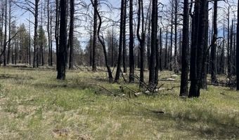 Off-Hicks Road, Bly, OR 97622