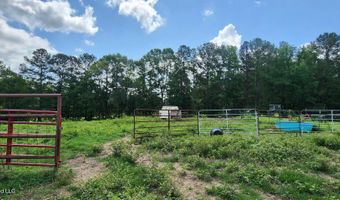 3350 SE Mount Pleasant Ln, Bogue Chitto, MS 39629
