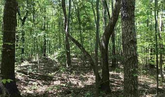 SHOAL CREST DRIVE lot 1 And 2, Ashville, AL 35953