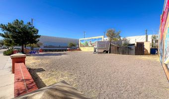 101 E Holland Ave, Alpine, TX 79830