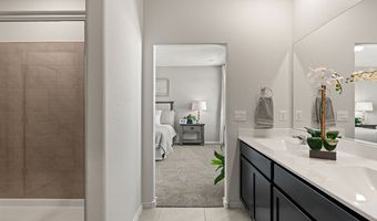 5503 Sagan Loop SE Plan: Bergamot, Albuquerque, NM 87106