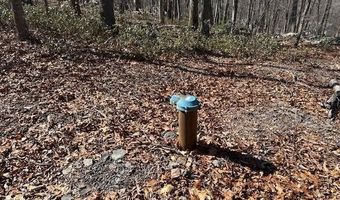 2 08 ACRES DEER PATH Rd, Augusta, WV 26704