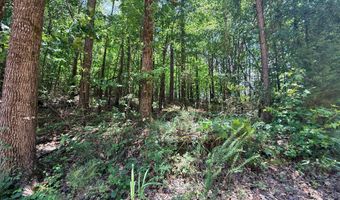 COUNTY ROAD 49, Beaverton, AL 35544