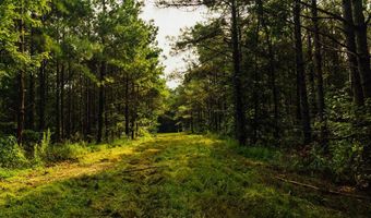 1037 Cr 300, Big Creek, MS 38914