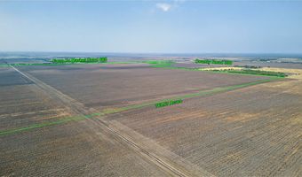 FM 665, Alice, TX 78332