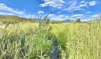 42 Hondo Seco Rd, Arroyo Hondo, NM 87513