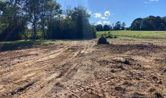 Tract 2 Hwy 51S, Homer, GA 30547