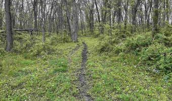 168 Th St, Albia, IA 52531