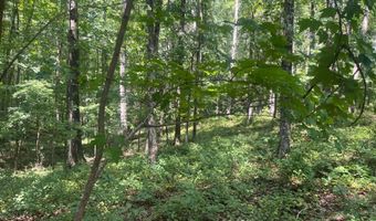 2049 Henry Scott Rd-LOT C 2.3 Acres, Ball Ground, GA 30107