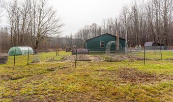 6590 Hall Rd, Andover, OH 44003