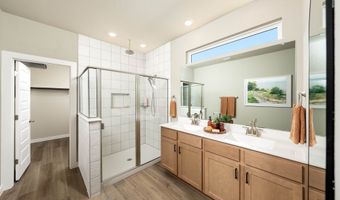 14515 Prairie Clover Plan: Wisteria, San Antonio, TX 78253