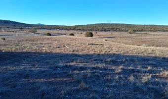 92 County Road 8223, Concho, AZ 85924