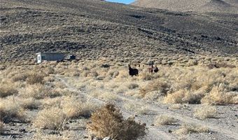 SAND SPRINGS Road, Dyer, NV 89010